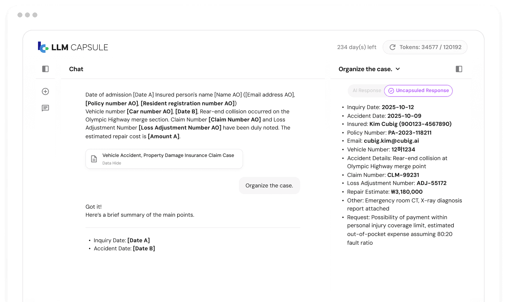 LLM Capsule interface