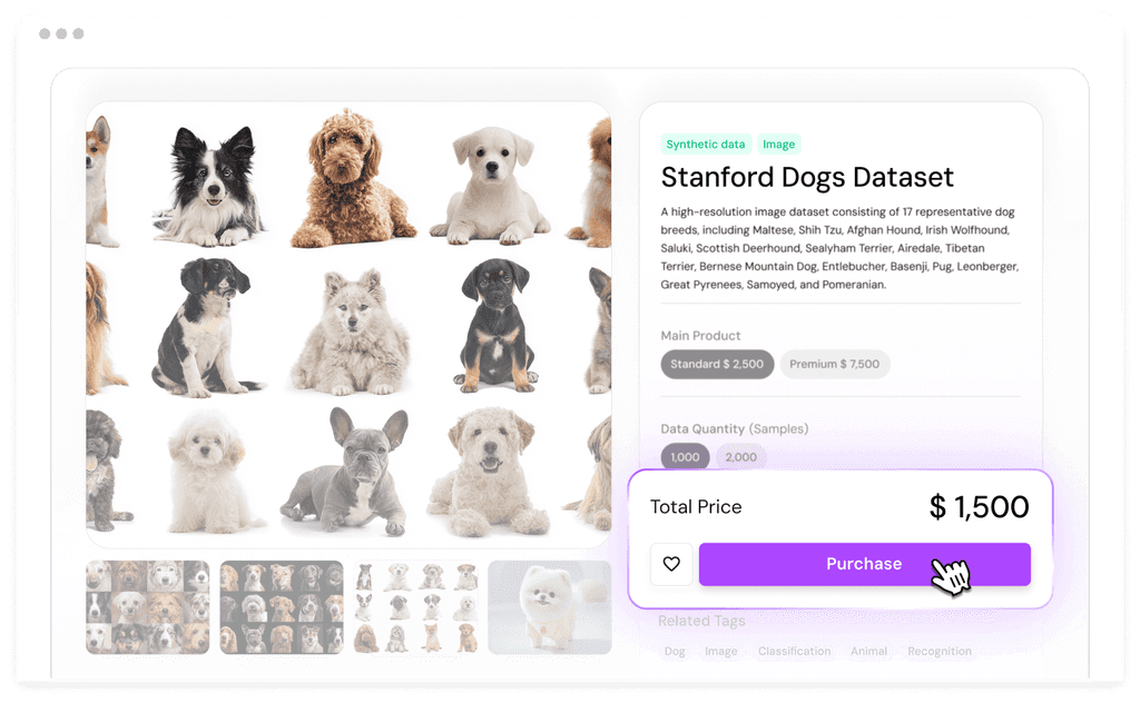 LLM Capsule interface